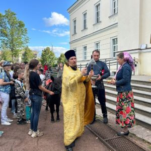 В Сергиево состоялся праздник – День коня, приуроченный памяти свв. мучеников Флора и Лавра